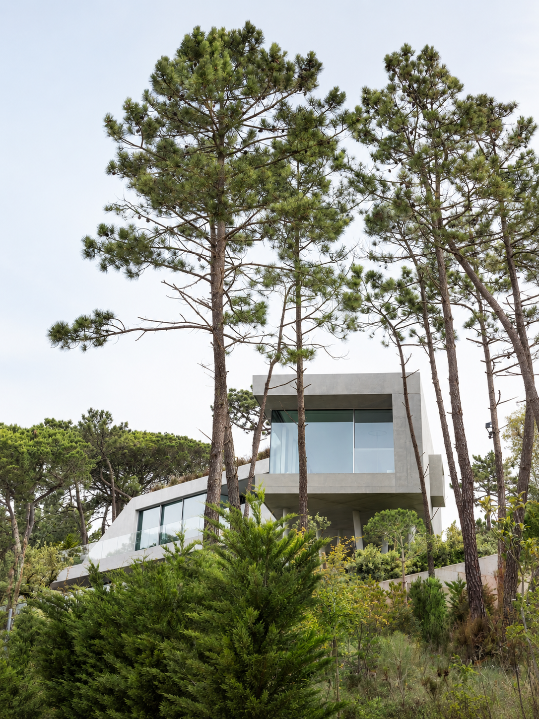 eagle-rock-house_2